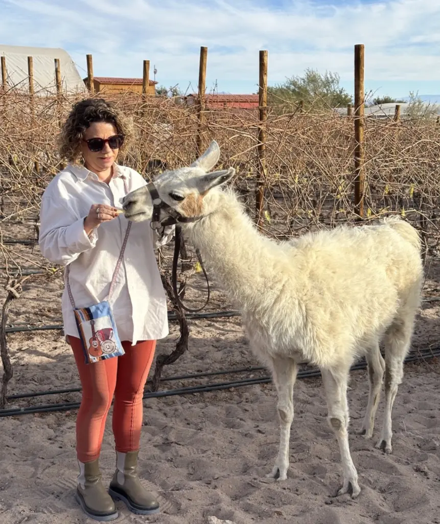 Como escolher a melhor locadora de carro em Calama e viajar pelo Atacama com liberdade 7 Deserto do Atacama28