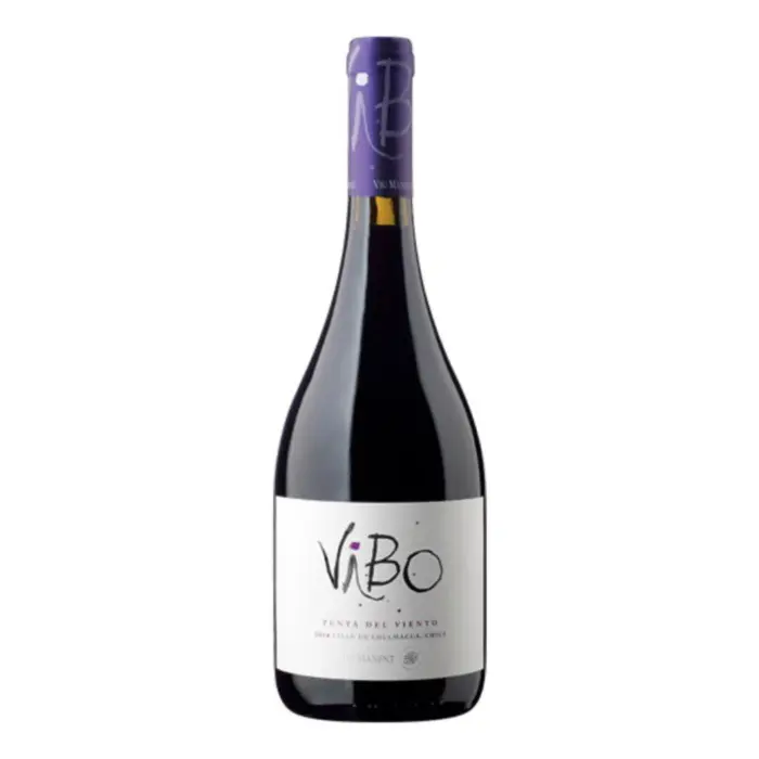 Vinho Vibo Viu Manent 2.jpeg