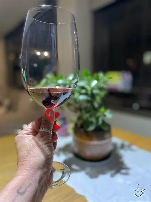 Melhores vinhos chilenos