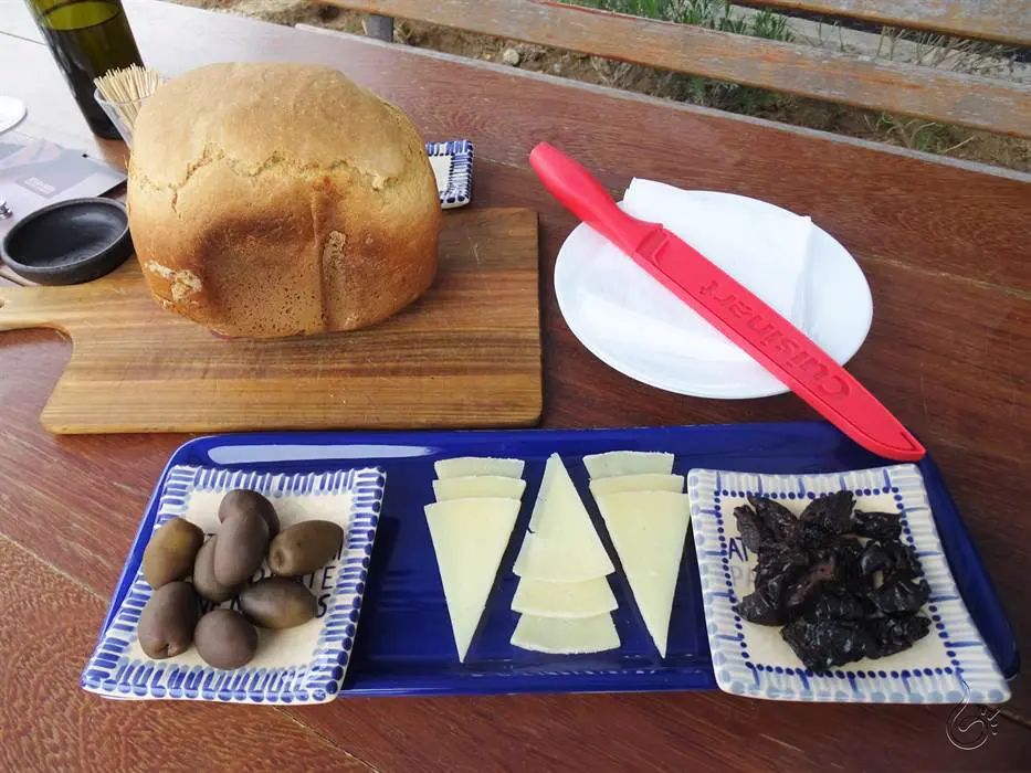 Top 10 melhores vinícolas que já visitamos no Chile! 6 Attilio Mochi129.jpg
