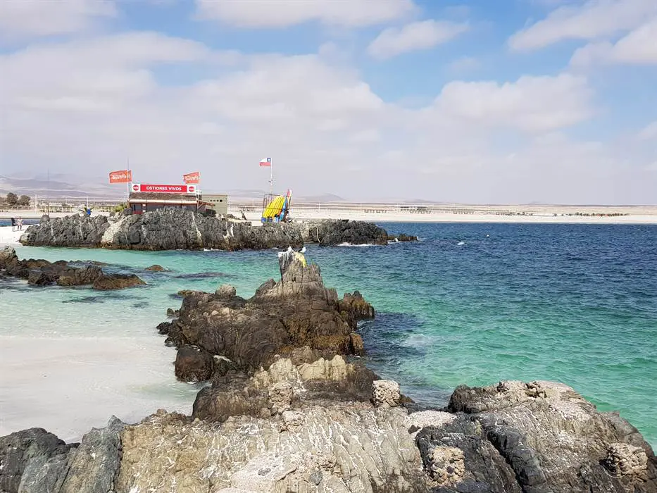 Bahia inglesa chile109.jpg