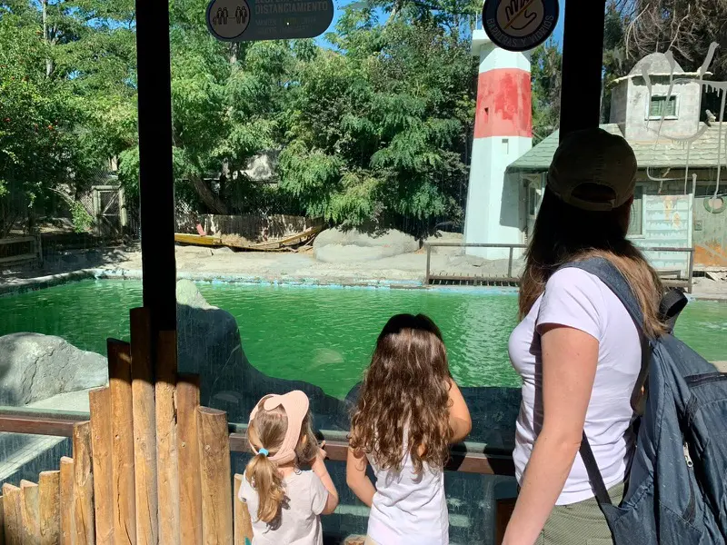 Buin Zoo chile1.jpg
