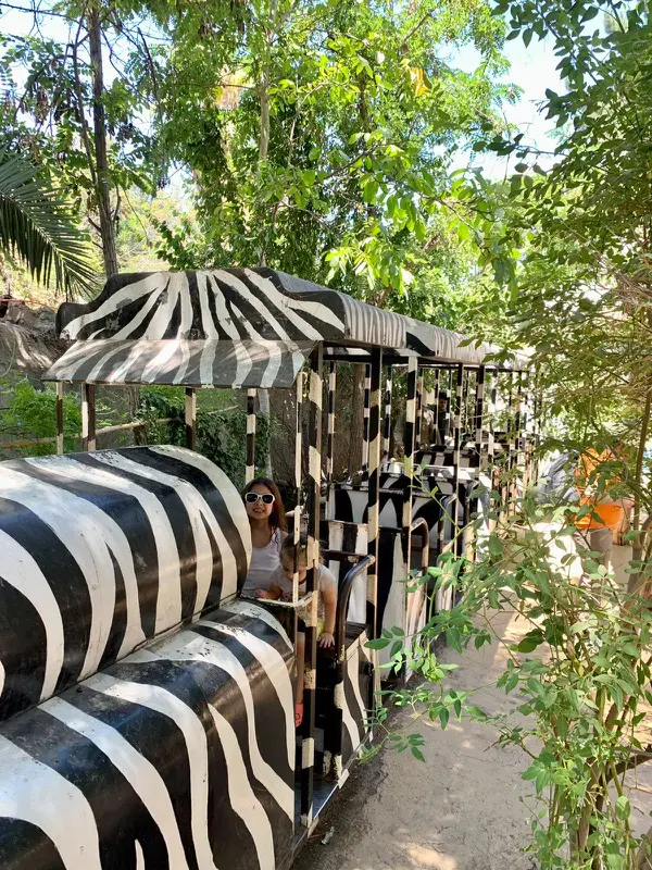 Buin Zoo chile7.jpg