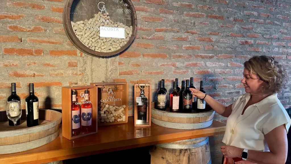 Casa Acosta: uma vinícola familiar no Valle de Cachapoal 6 Casa Acosta7