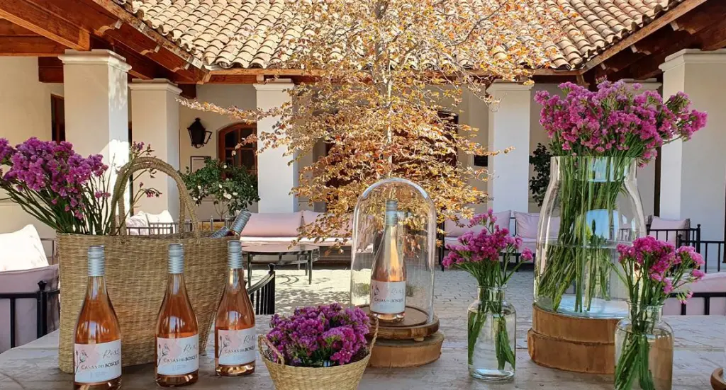 Casas del Bosque capa38 7