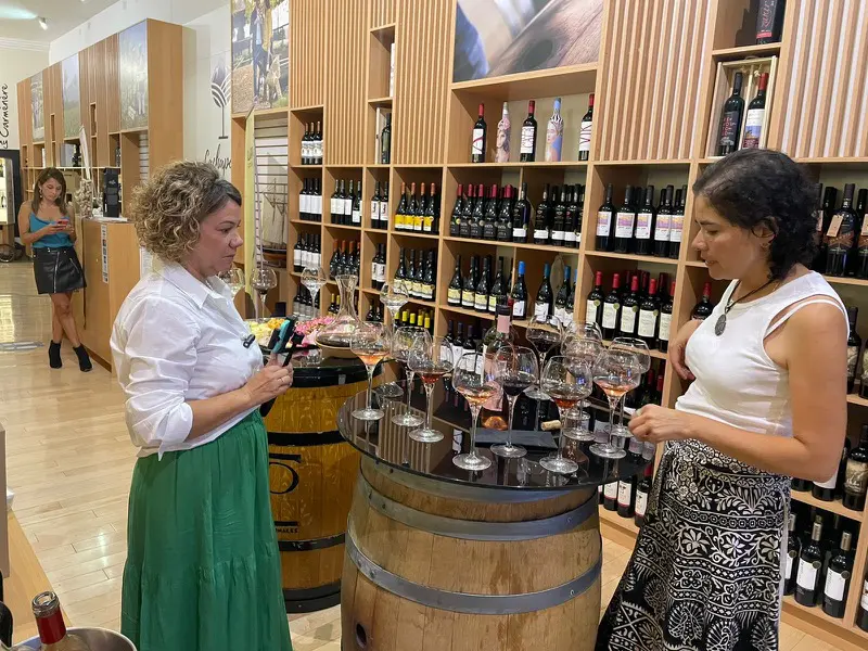 Chile: visitando um cassino e uma vinícola no mesmo dia 7 Casino e vinicola ohiggins15.jpg