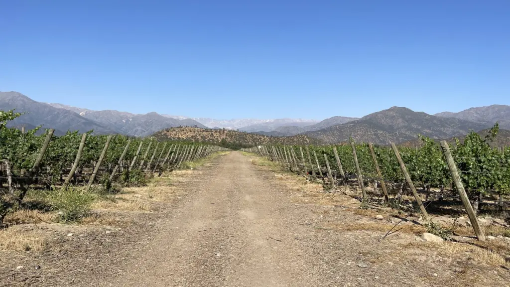 Chile: visitando um cassino e uma vinícola no mesmo dia 15 Casino e vinicola ohiggins2
