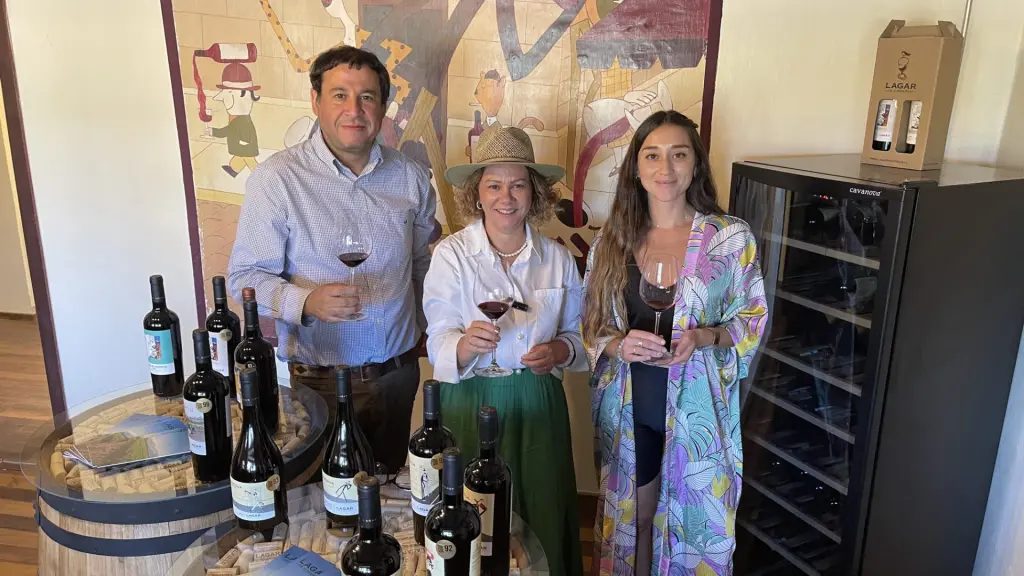 Chile: visitando um cassino e uma vinícola no mesmo dia 18 Casino e vinicola ohiggins5