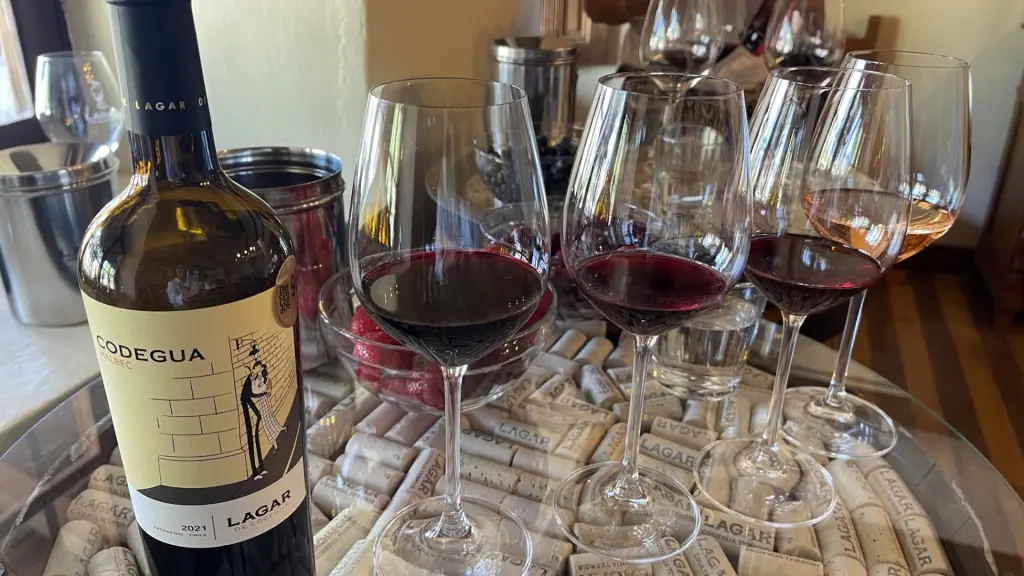 Chile: visitando um cassino e uma vinícola no mesmo dia 16 Casino e vinicola ohiggins6