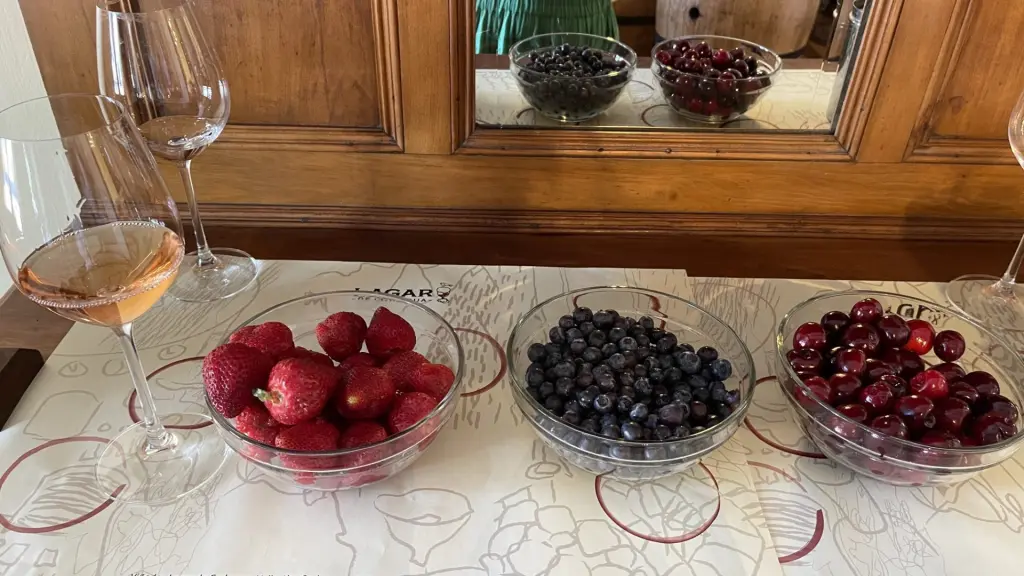 Chile: visitando um cassino e uma vinícola no mesmo dia 19 Casino e vinicola ohiggins7