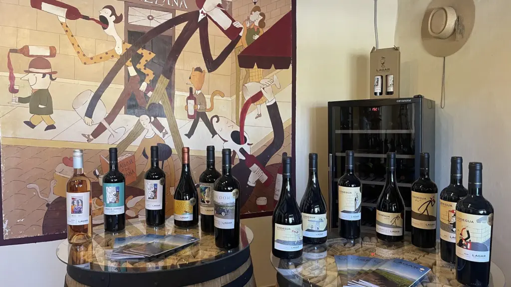 Chile: visitando um cassino e uma vinícola no mesmo dia 17 Casino e vinicola ohiggins9