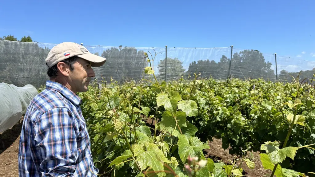 Sul do Chile: roteiro completo para conhecer Chiloé em 4 dias 17 Chiloe27