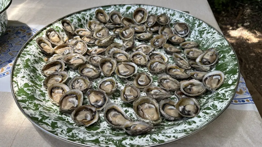 Sul do Chile: roteiro completo para conhecer Chiloé em 4 dias 22 Chiloe28