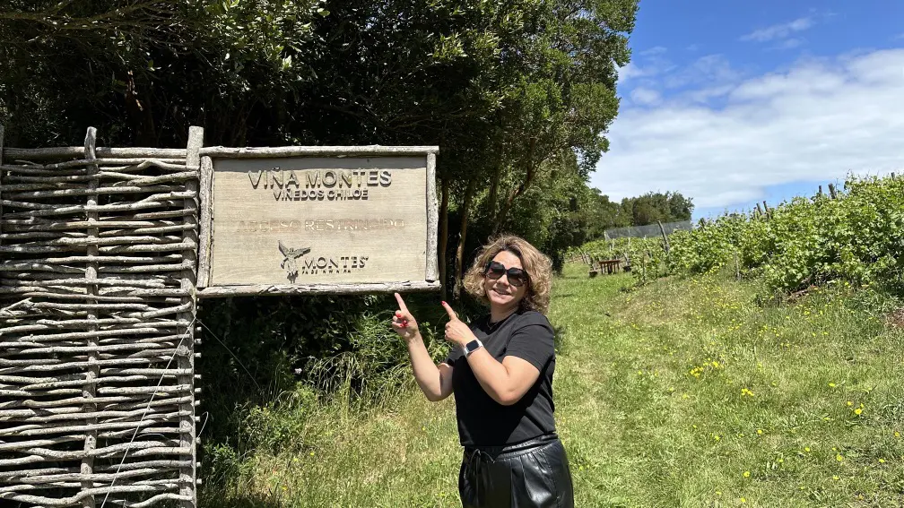 Sul do Chile: roteiro completo para conhecer Chiloé em 4 dias 16 Chiloe29.jpg