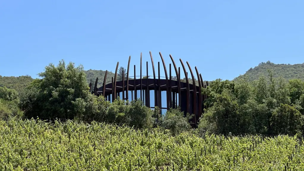 Clos Apalta Residence2