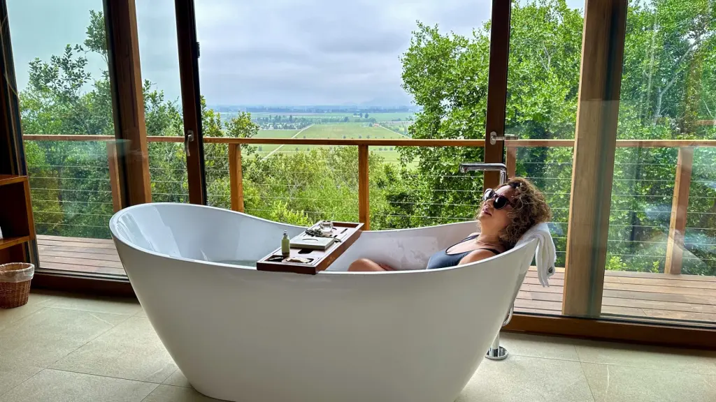 Hotéis de luxo no Chile: review das 7 opções mais exclusivas e sofisticadas 2 Clos Apalta Residence39