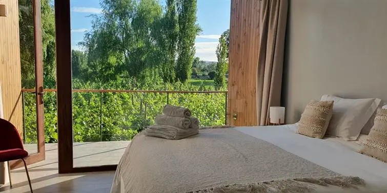 Valle de Colchagua: um final de semana delicioso 1 Colchagua Chile1247.jpg