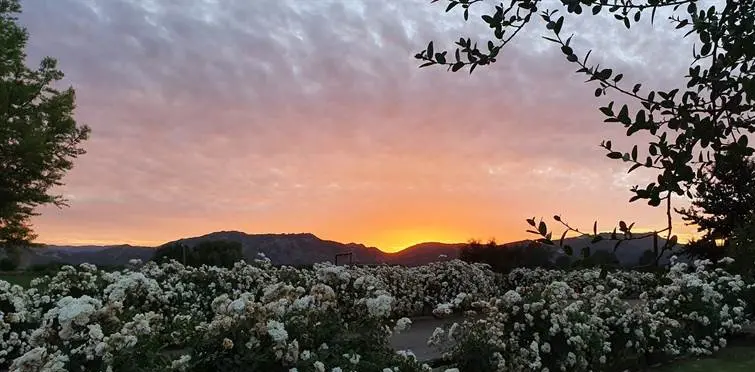 Valle de Colchagua