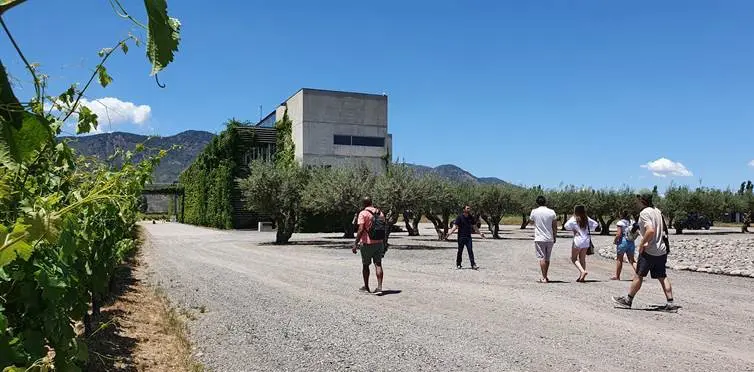 Valle de Colchagua: um final de semana delicioso 6 Colchagua Chile1266.jpg