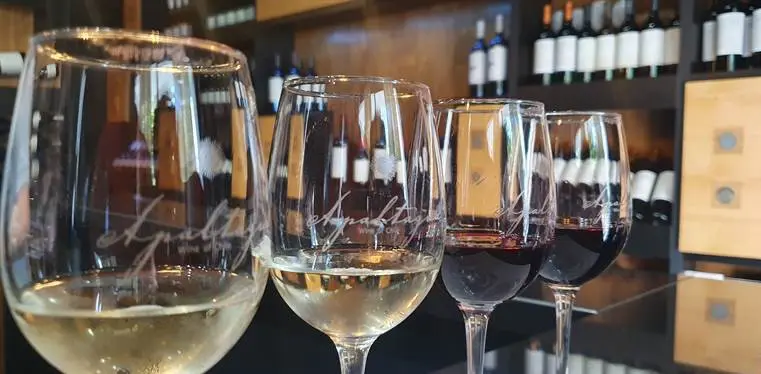 Valle de Colchagua: um final de semana delicioso 8 Colchagua Chile1276.jpg