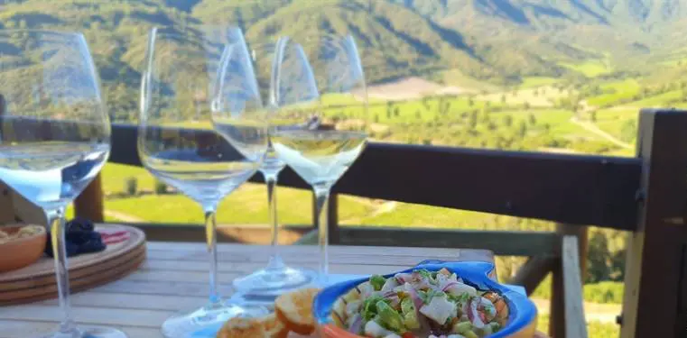 Valle de Colchagua: um final de semana delicioso 11 Colchagua Chile1278.jpg