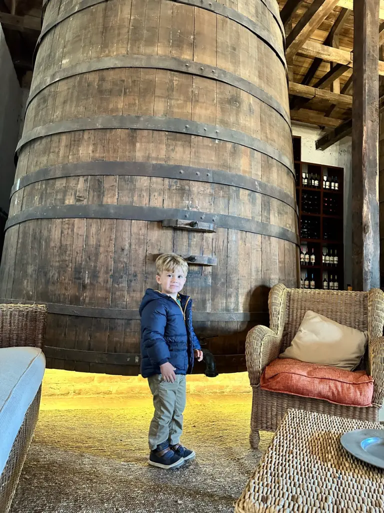 Chile com crianças: quais vinícolas visitar no Valle de Colchagua? 2 Colchagua com criancas6