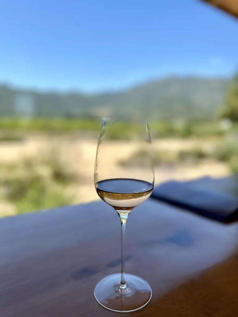 Excursão ao Valle de Colchagua: vinícolas, passeios e se vale a pena bate e volta 10 Colchagua12