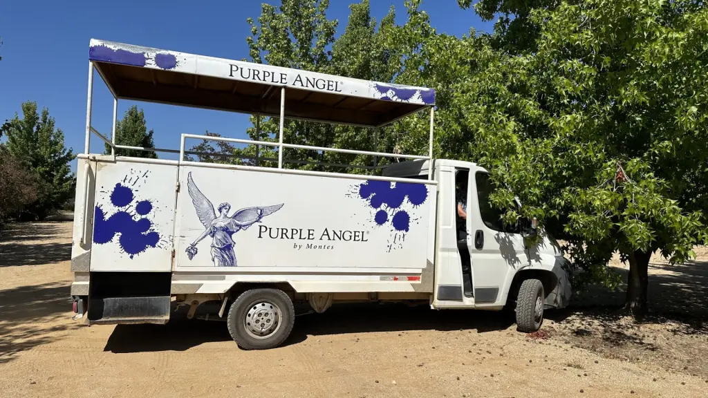 Excursão ao Valle de Colchagua: vinícolas, passeios e se vale a pena bate e volta 3 Colchagua3