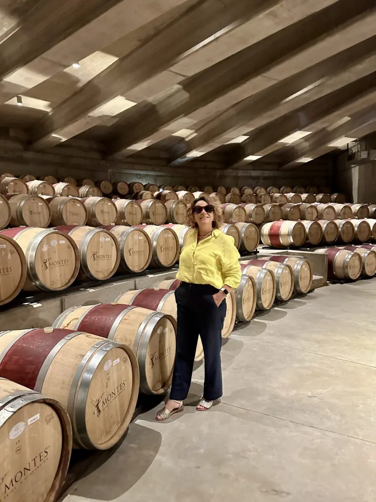 Excursão ao Valle de Colchagua: vinícolas, passeios e se vale a pena bate e volta 6 Colchagua5