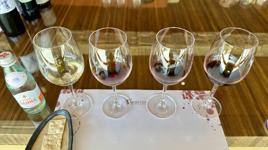 Excursão ao Valle de Colchagua: vinícolas, passeios e se vale a pena bate e volta 4 Colchagua6