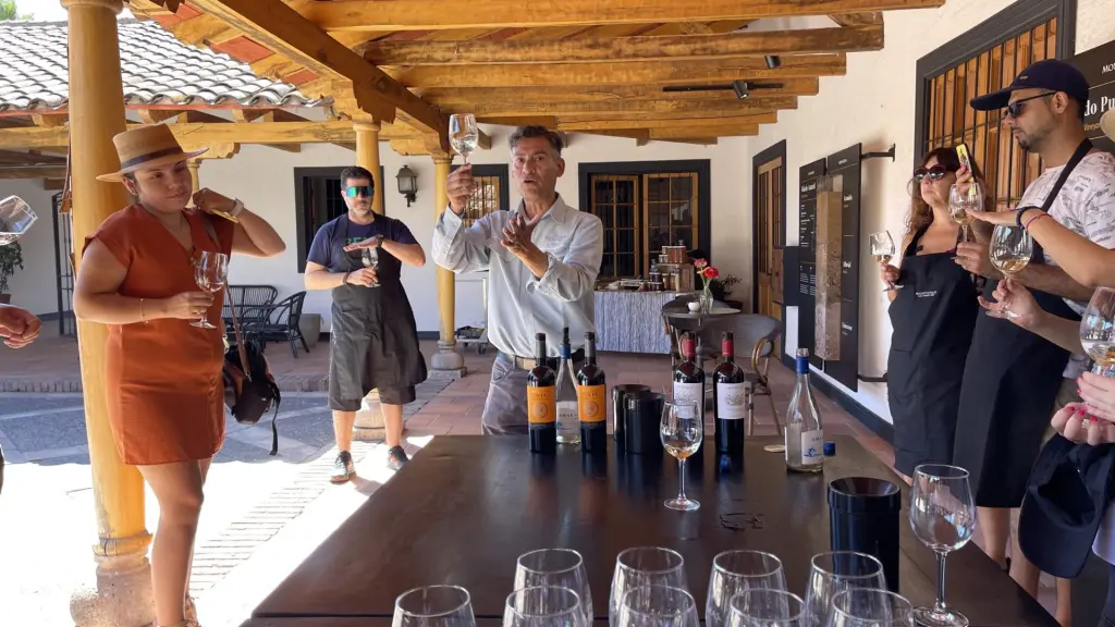 Vendimia em Colchagua: O gostinho de colher e pisar uvas! 7 Colheita da uva13