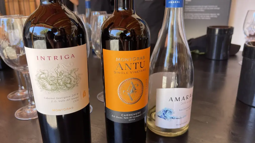 Vendimia em Colchagua: O gostinho de colher e pisar uvas! 8 Colheita da uva14