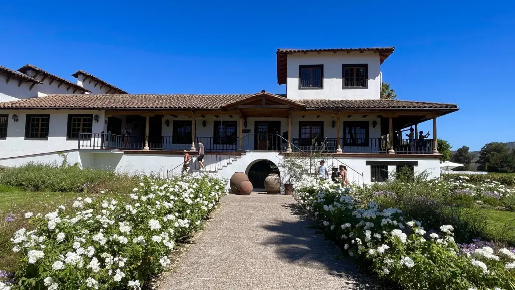 Vendimia em Colchagua: O gostinho de colher e pisar uvas! 1 Colheita da uva8