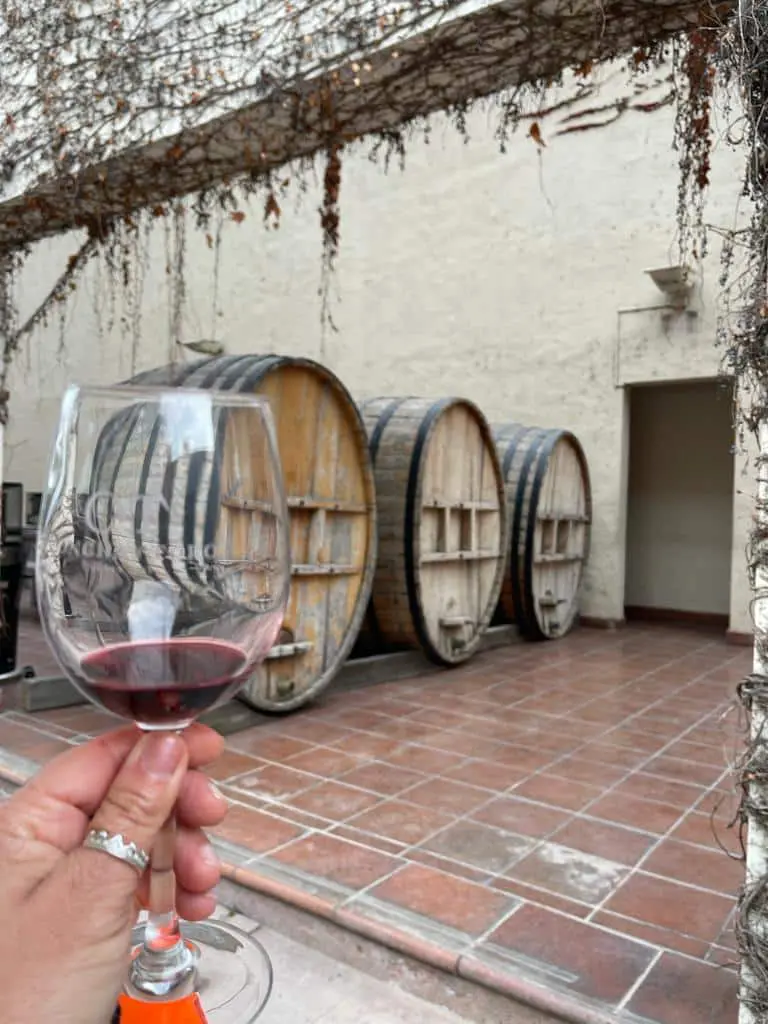 Concha y Toro: como visitar a maior vinícola do Chile por conta própria 2 Concha y toro5.jpeg