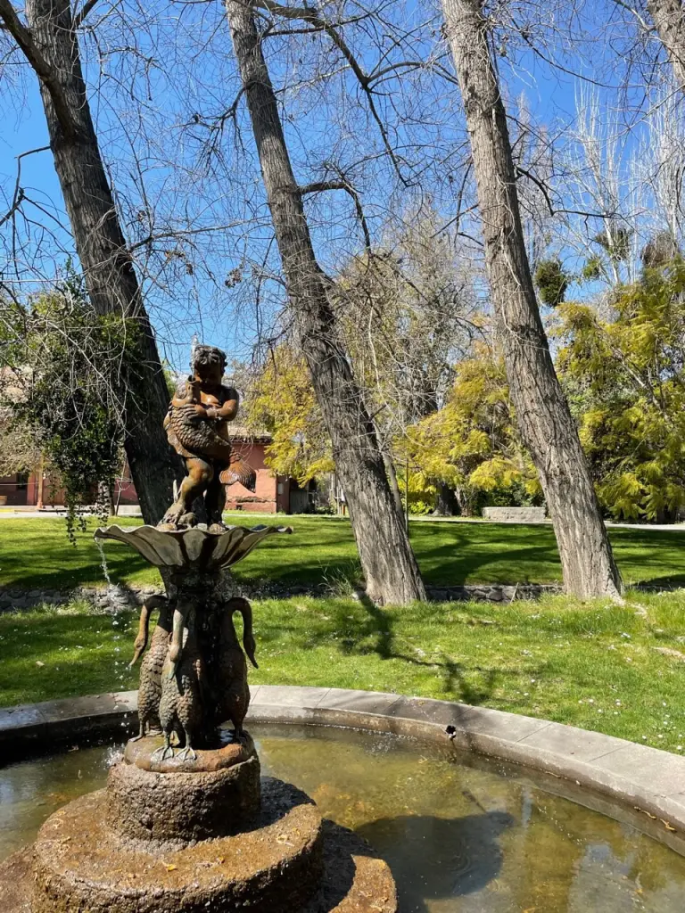 Vinícola Cousiño Macul em Santiago: experiência completa para ir com crianças 2 Cousino Macul Mel2