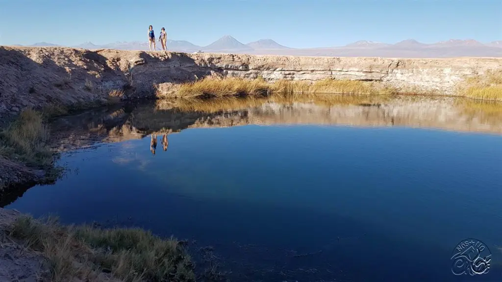 Deserto do Atacama320