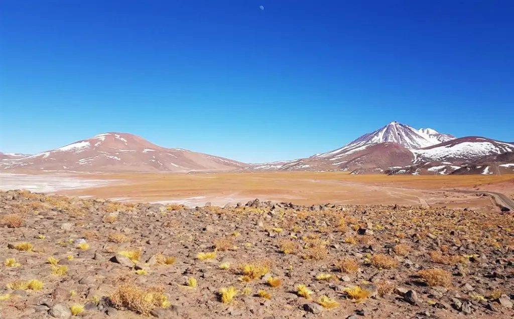 Deserto do Atacama337