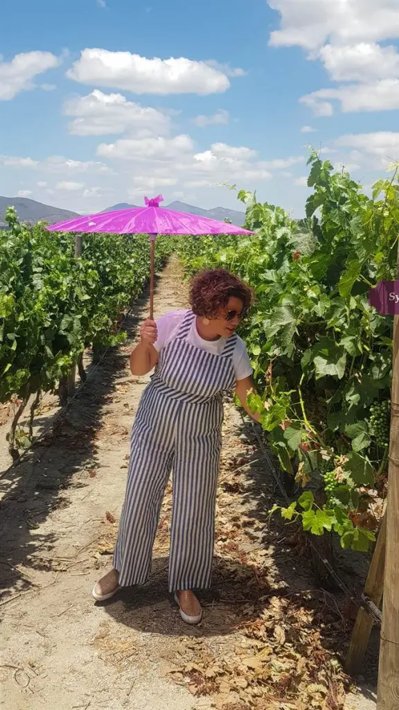 Valle de Casablanca: tour e degustação em 3 vinícolas no mesmo dia 6 Estancia el Cuadro122 e1662675445328