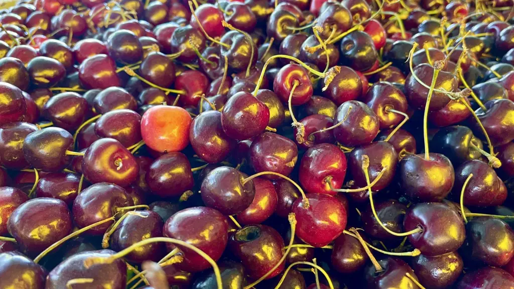 6 frutas que você tem que experimentar no Chile 1 Frutas chilenas1