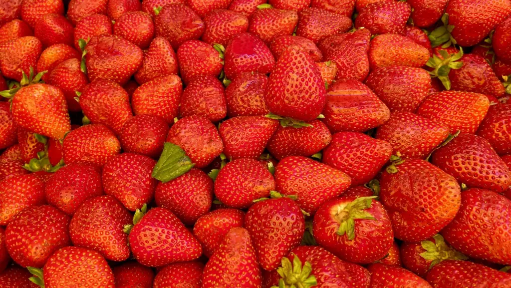 6 frutas que você tem que experimentar no Chile 2 Frutas chilenas2
