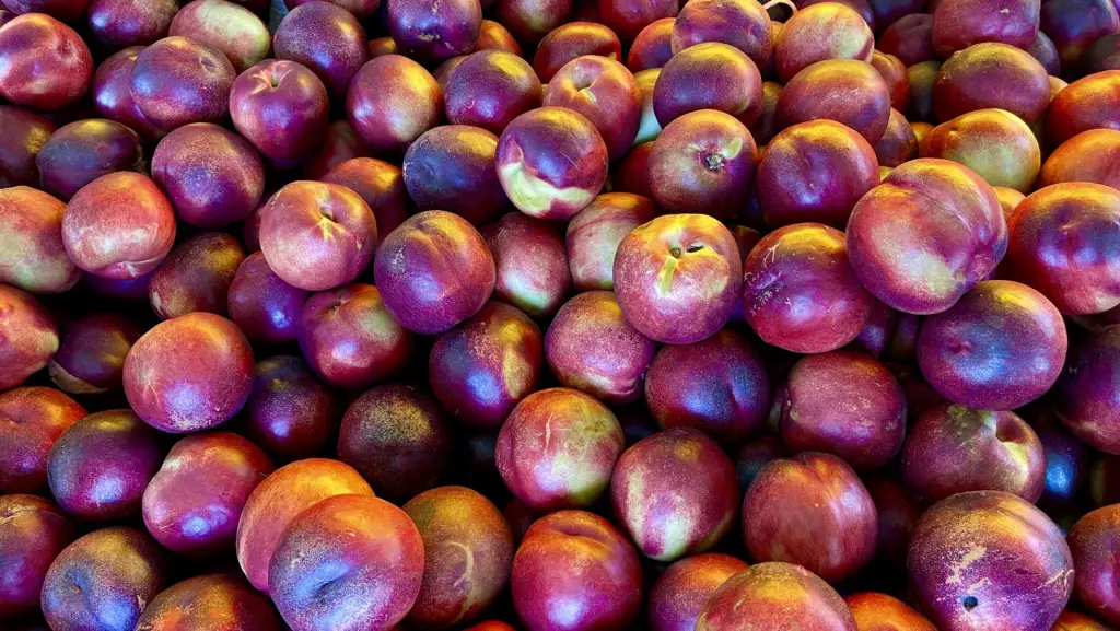 6 frutas que você tem que experimentar no Chile 4 Frutas chilenas4