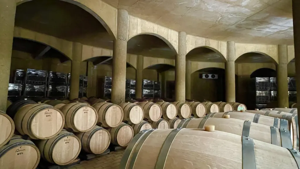 Tour, degustação de vinhos e almoço na vinícola Haras de Pirque – Pertinho de Santiago 14 Haras de Pirque2