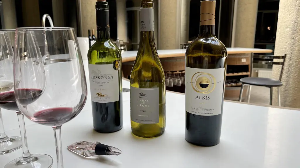 Tour, degustação de vinhos e almoço na vinícola Haras de Pirque – Pertinho de Santiago 6 Haras de Pirque4