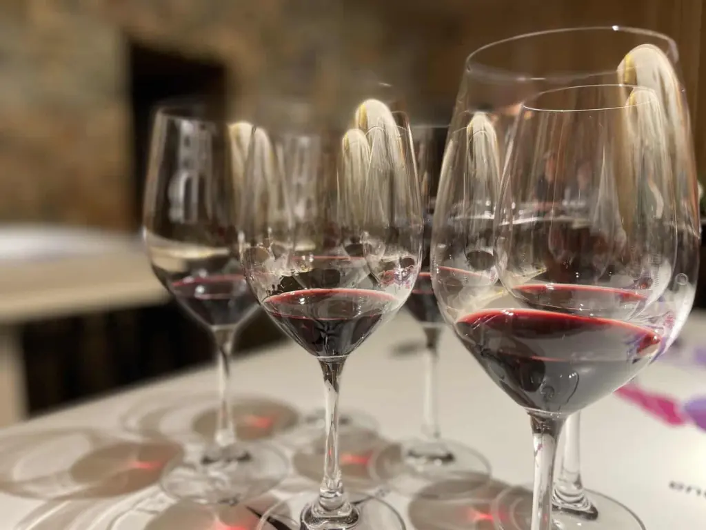 Vinícola VIK, número 1 do mundo: como é o tour, a degustação e o almoço 4 IMG 6532