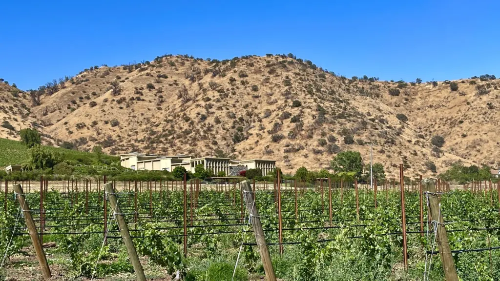 Tour, degustação de vinhos e almoço na vinícola Haras de Pirque – Pertinho de Santiago 1 IMG Haras de Pirque
