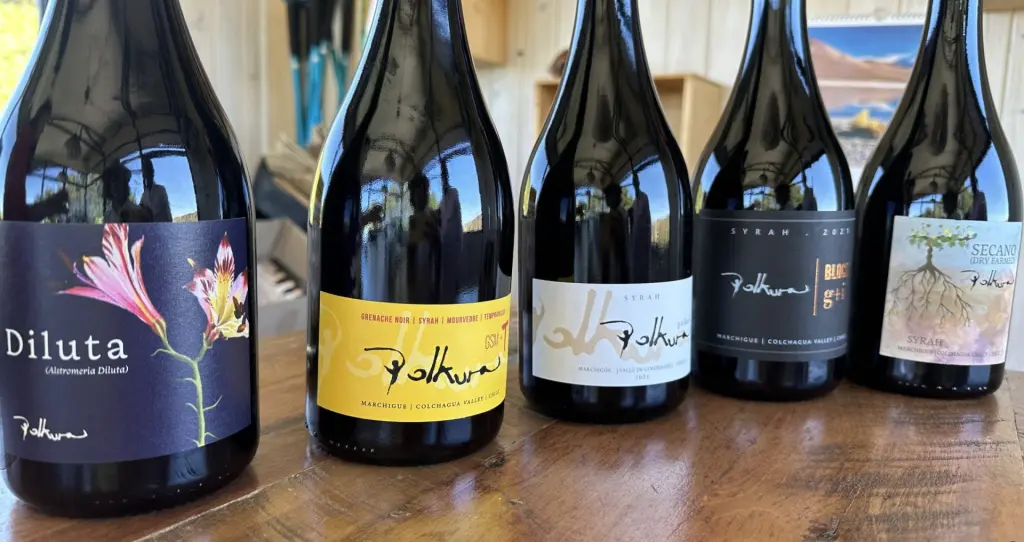Tour e degustação dos melhores vinhos da Vinícola Polkura, no Valle de Colchagua 4 Imagen 09 01 25 a las 3.19%E2%80%AFp.m scaled 1