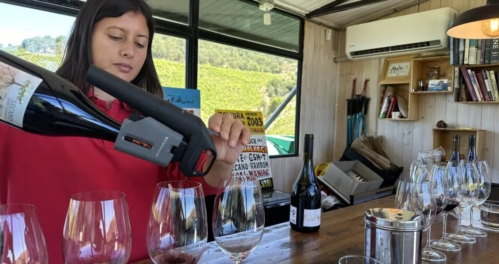 Tour e degustação dos melhores vinhos da Vinícola Polkura, no Valle de Colchagua 5 Imagen 09 01 25 a las 3.20%E2%80%AFp.m scaled 1