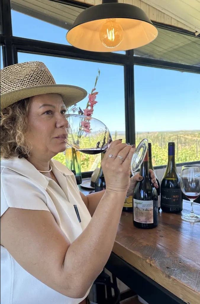 Tour e degustação dos melhores vinhos da Vinícola Polkura, no Valle de Colchagua 3 Imagen 09 01 25 a las 3.21%E2%80%AFp.m