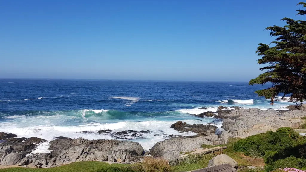 Isla Negra