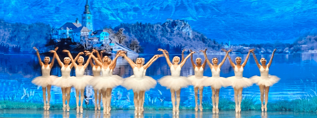 Agenda Cultural: eventos e shows em Santiago do Chile em julho 2024 6 Lagodeloscisnes